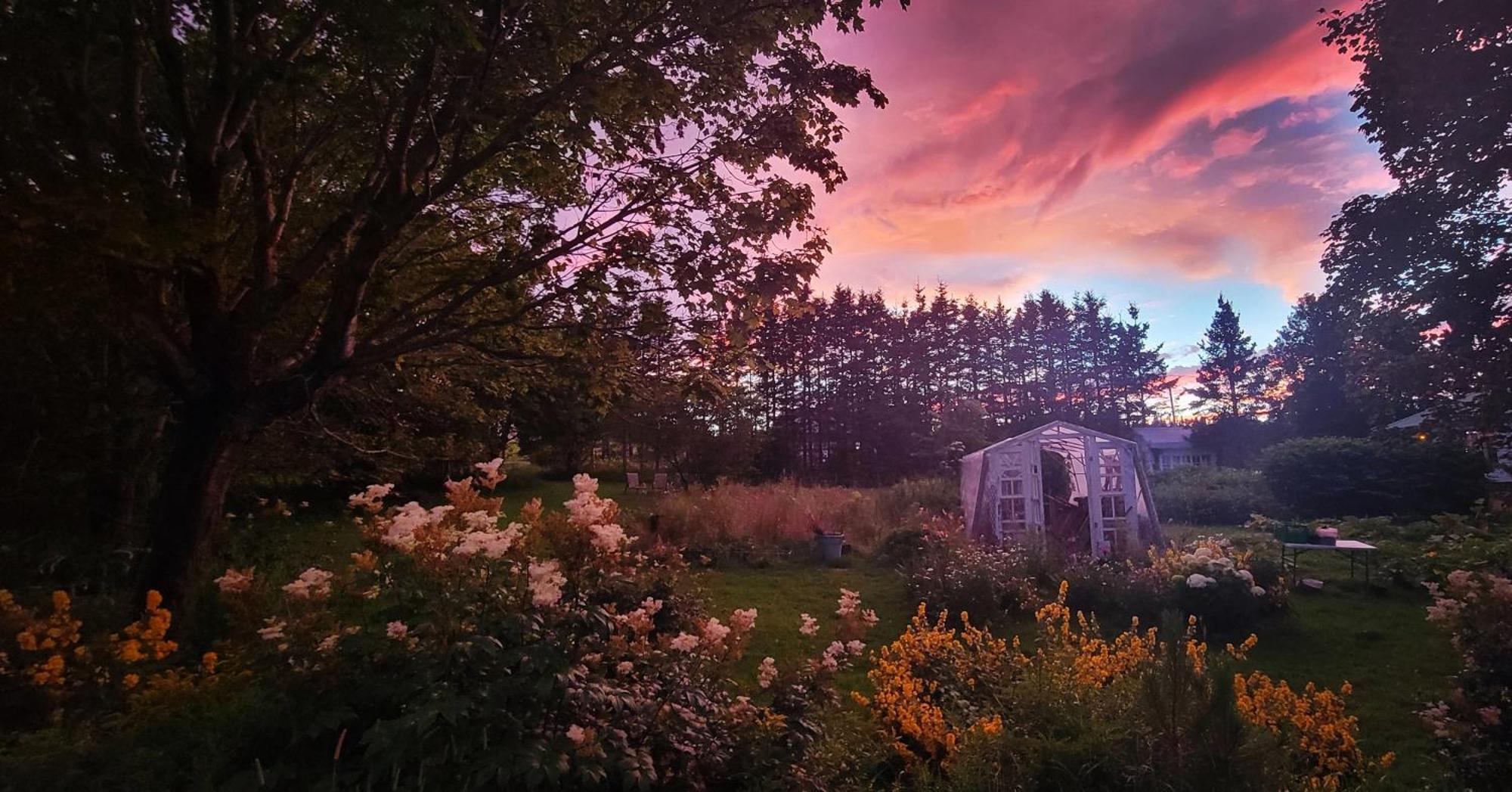 Gite Aux Jardins De L'Anse Perce Exterior photo