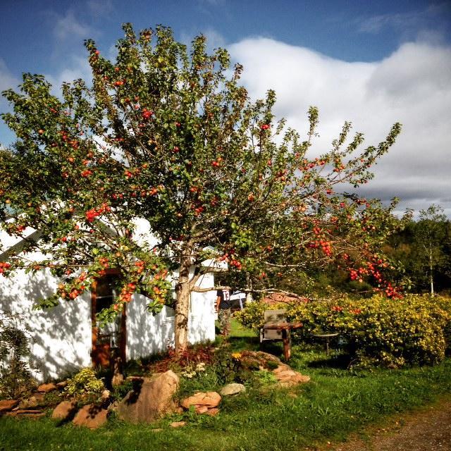 Gite Aux Jardins De L'Anse Bed & Breakfast Perce Exterior photo