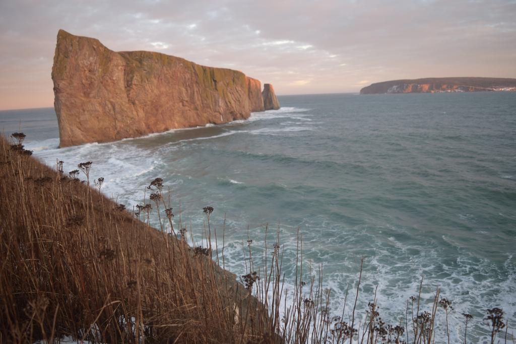 Gite Aux Jardins De L'Anse Bed & Breakfast Perce Exterior photo