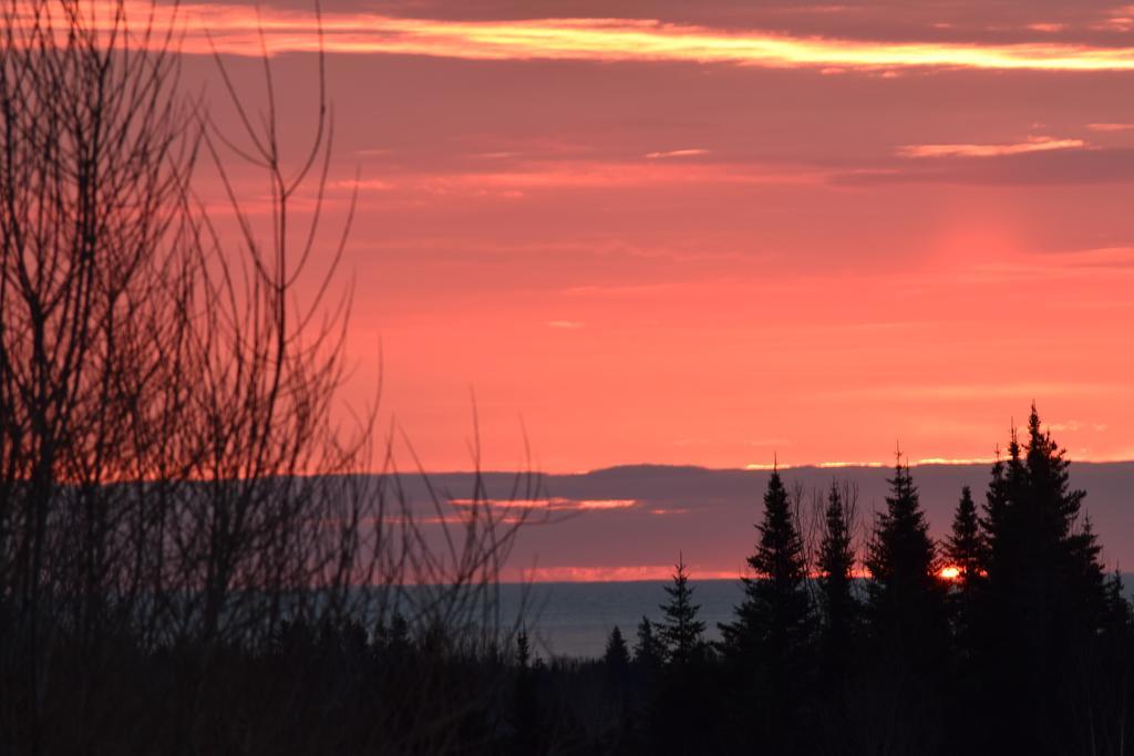 Gite Aux Jardins De L'Anse Bed & Breakfast Perce Exterior photo